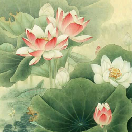 清亮
