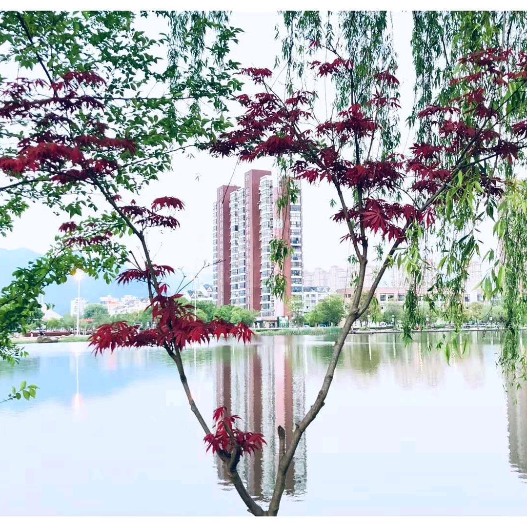 曾经最美cc