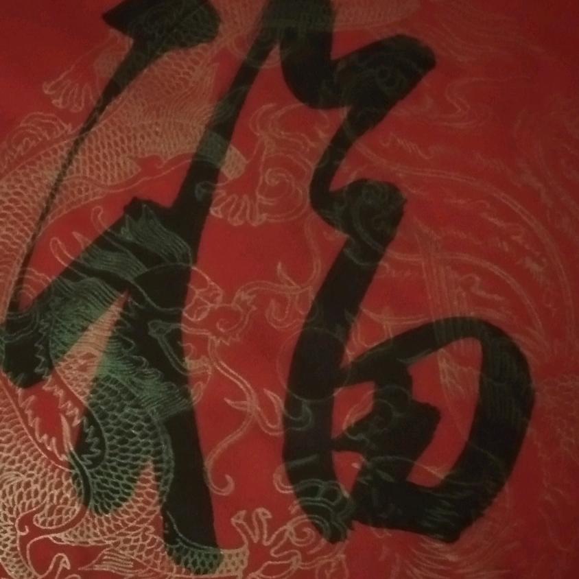 芦苇