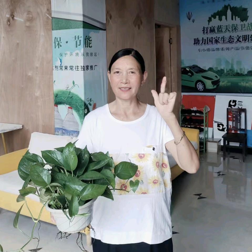 老大姐