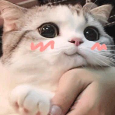 林中的麋鹿