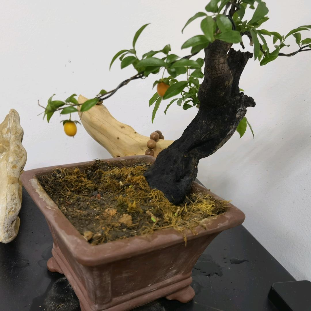 意境
