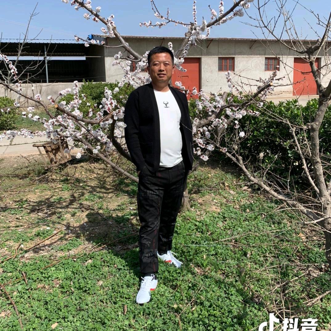 陕西仔猪销售李明