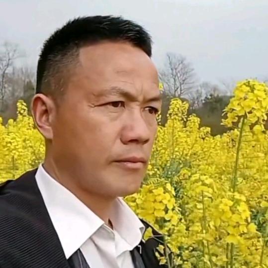 老伍哥