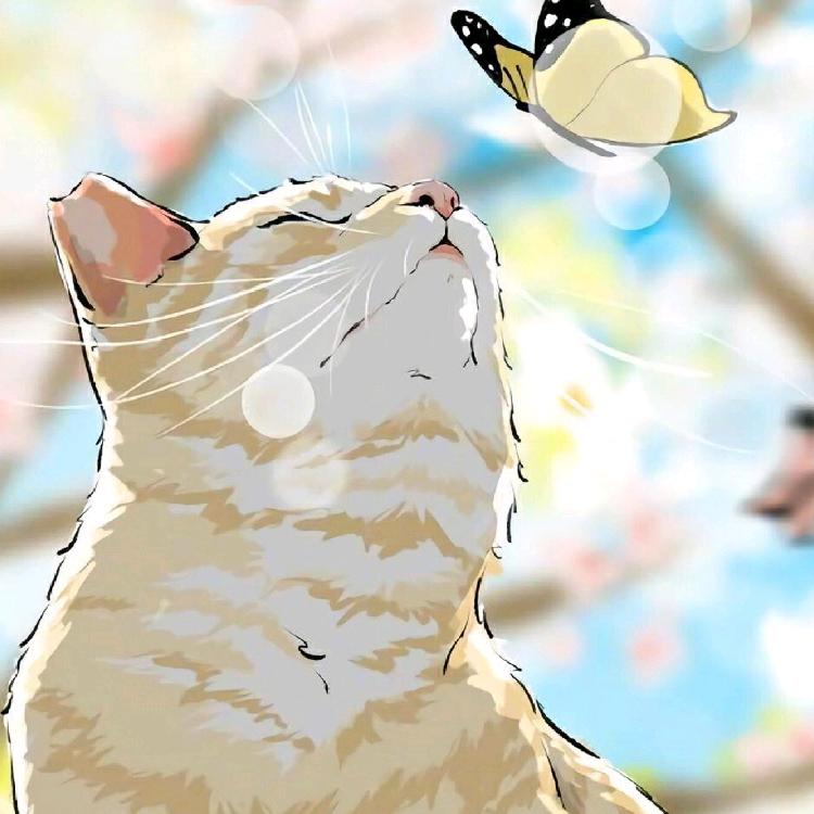 15年前的中午
