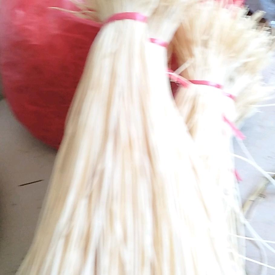 吴红美dygjcnoojit