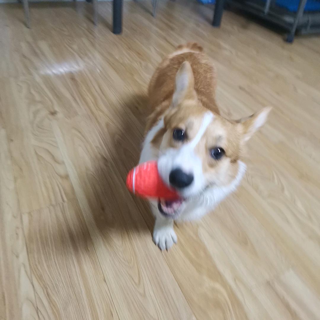鲸落