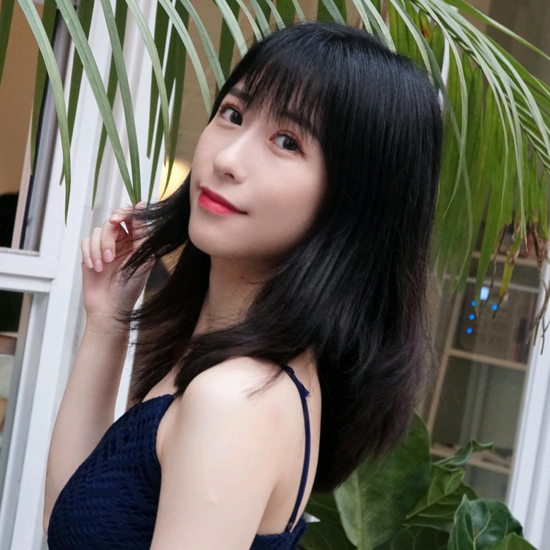 东莞有只猫