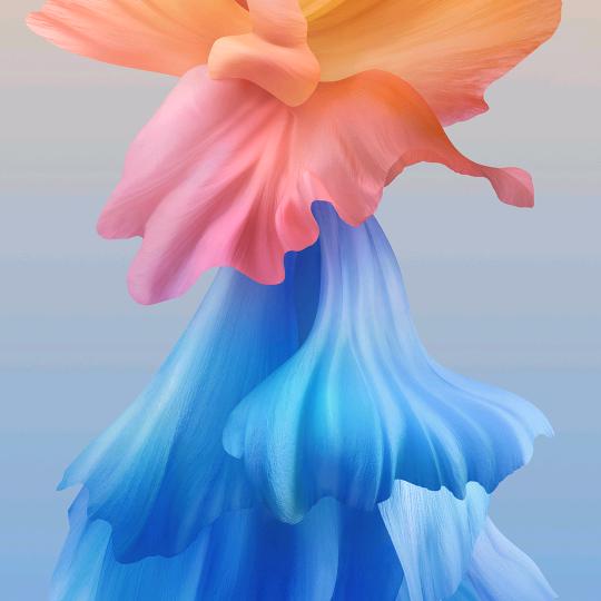 浩浩