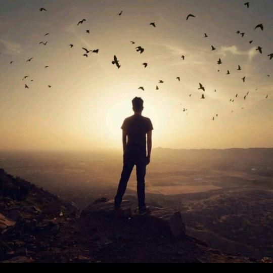 🕊ღ᭄ꦿ꯭将爱藏于深海ꦿ᭄🕊