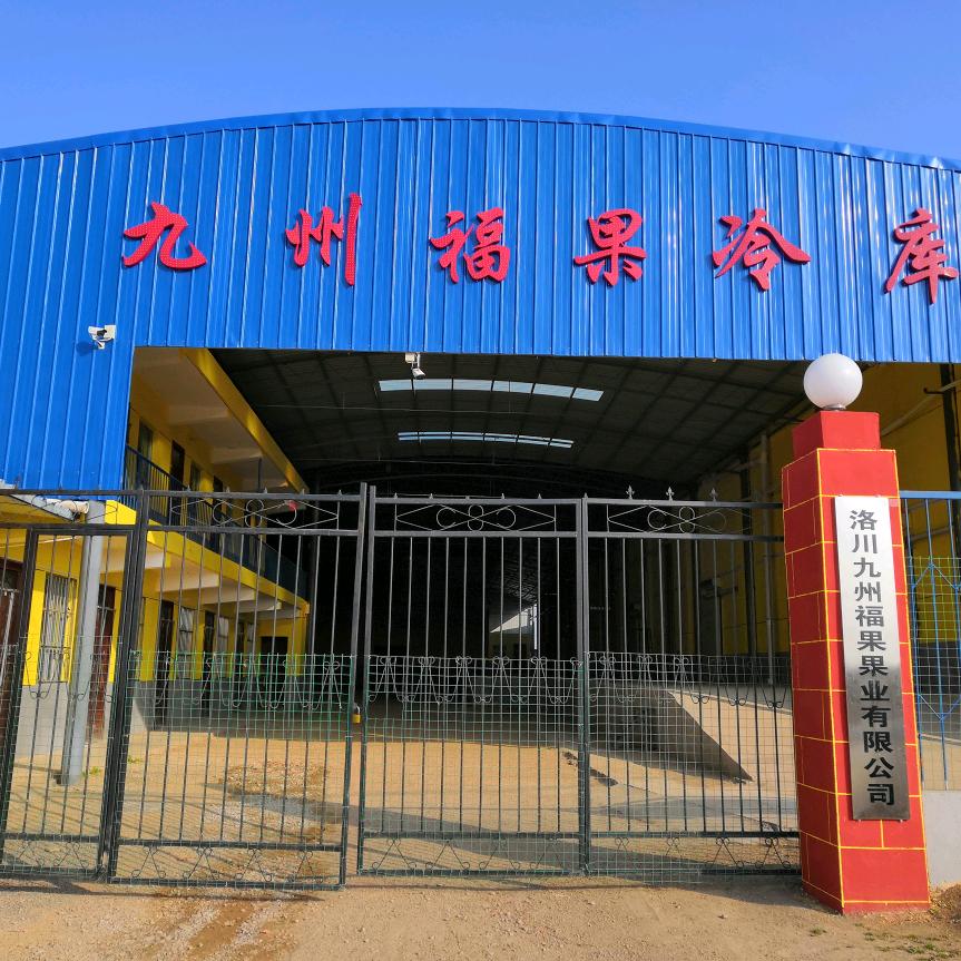九州福果