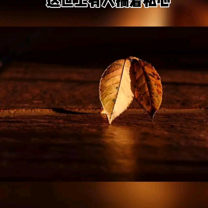 女人心