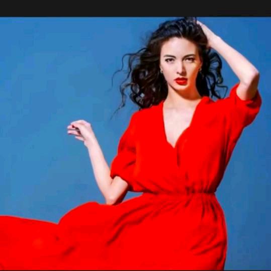 美好的世界🌹