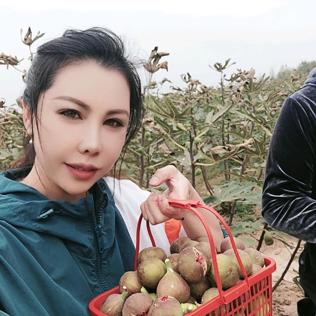 叶子好物