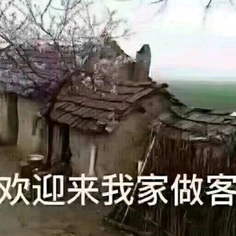 高高兴兴每一天