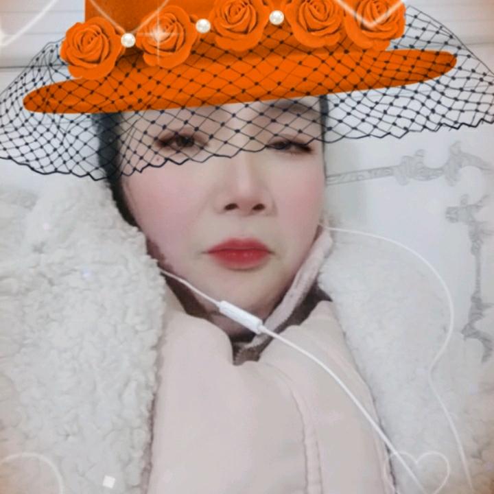 飞南雁（鄂早晚九点演艺KTV欢迎