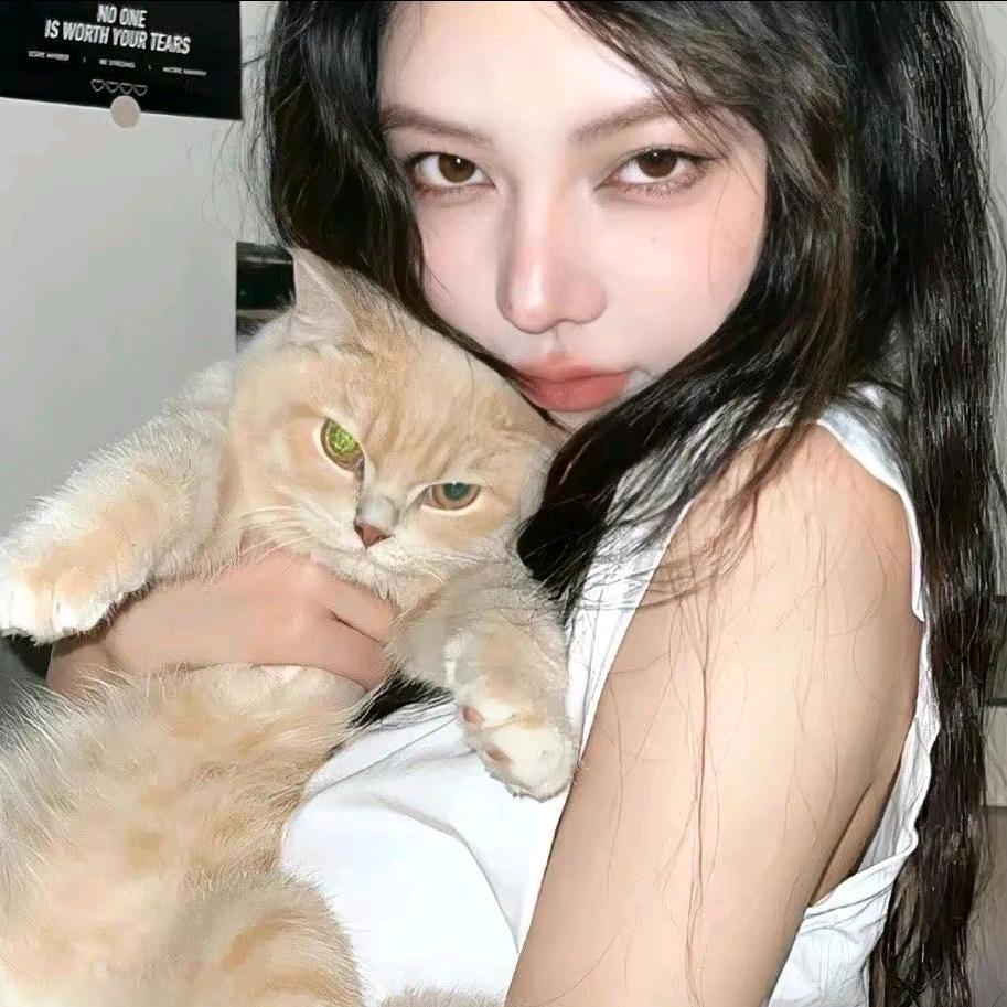 么凹猫~
