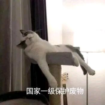 阿斌阿斌说话不听