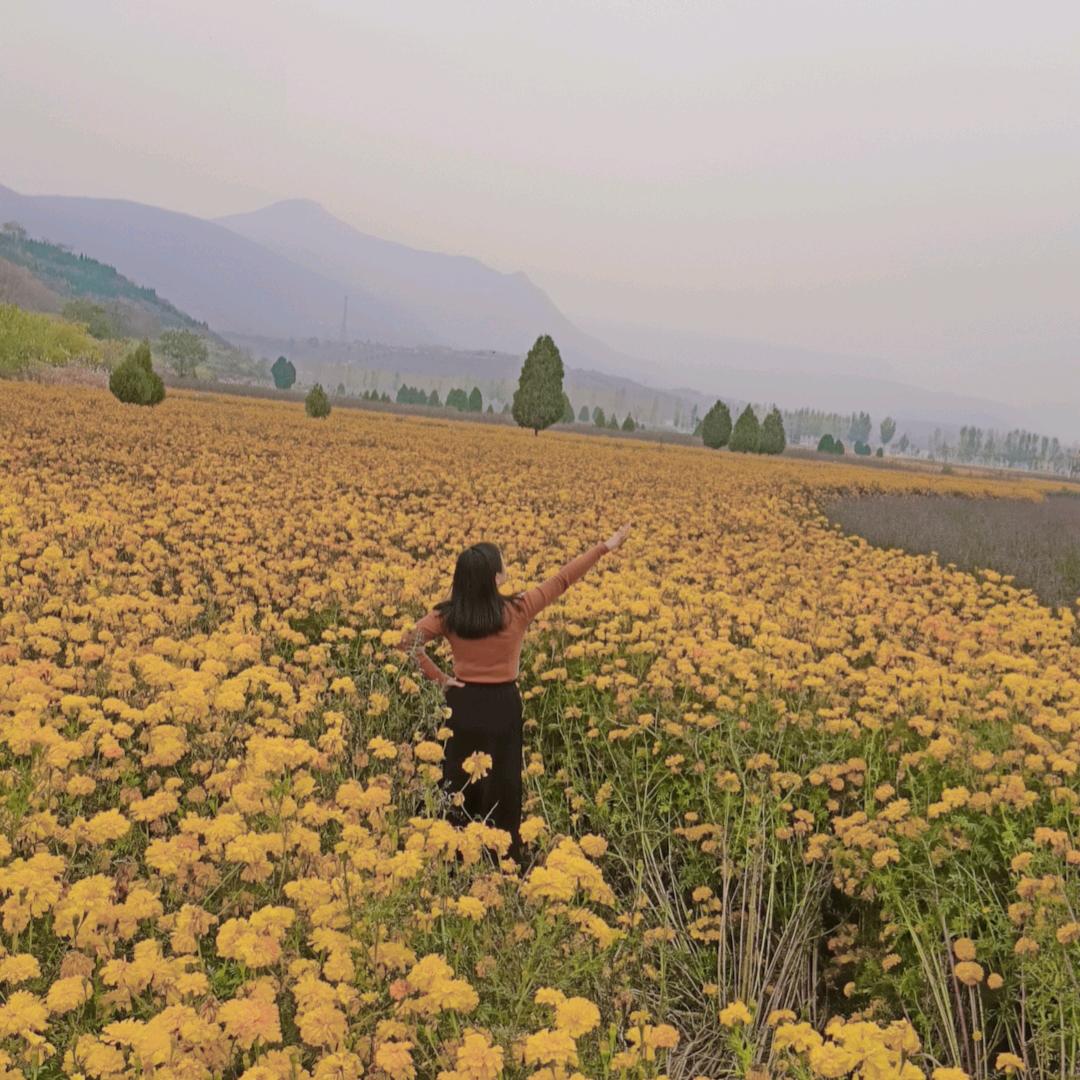 🍎俺家有二百万