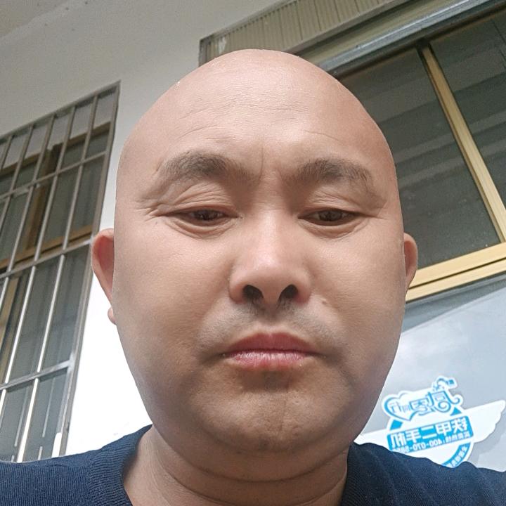 维西兄弟大小挖机压路平一板车出租