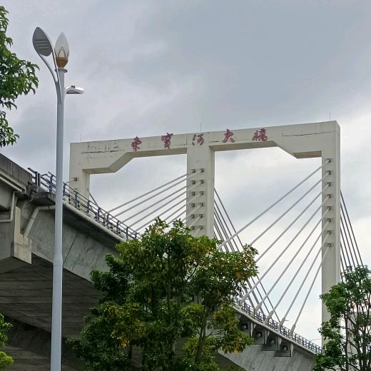 太阳与你肩并肩