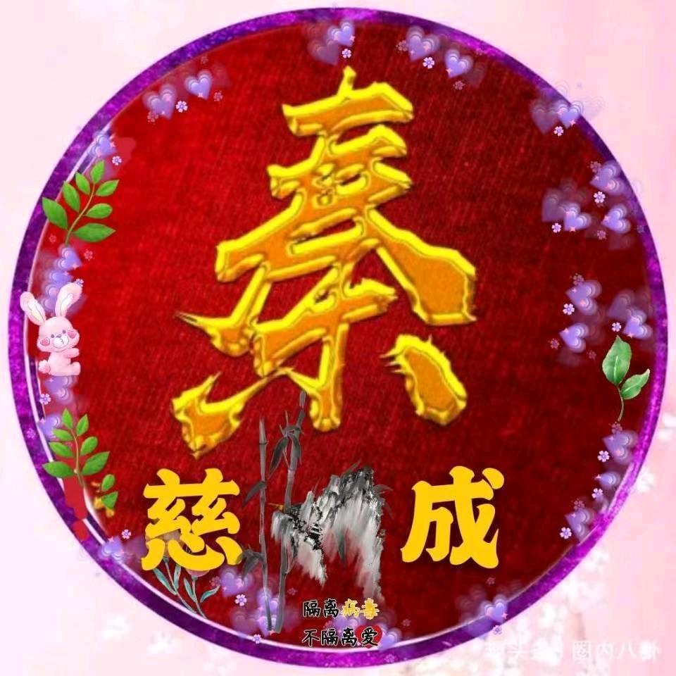 单恋一枝花