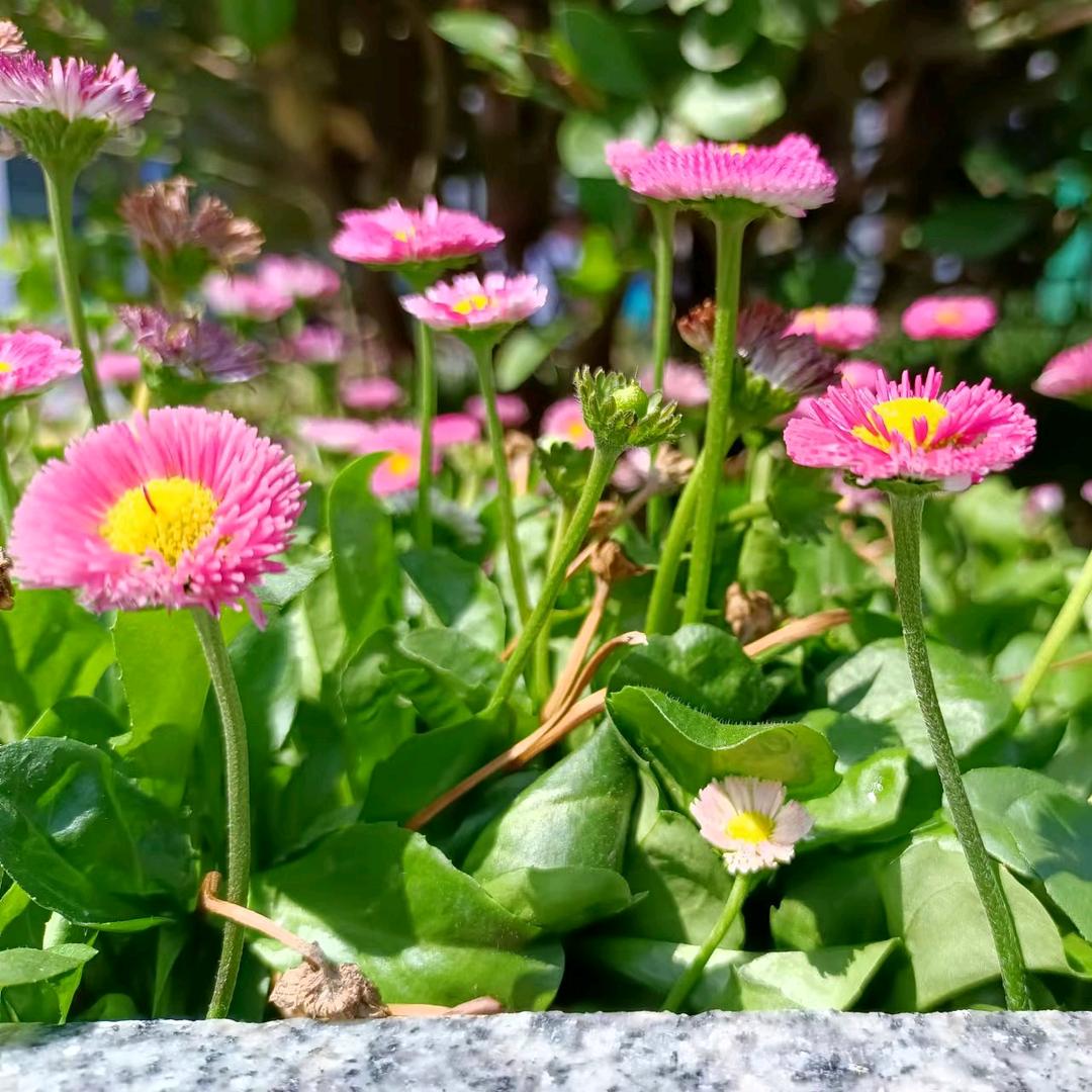 小人物