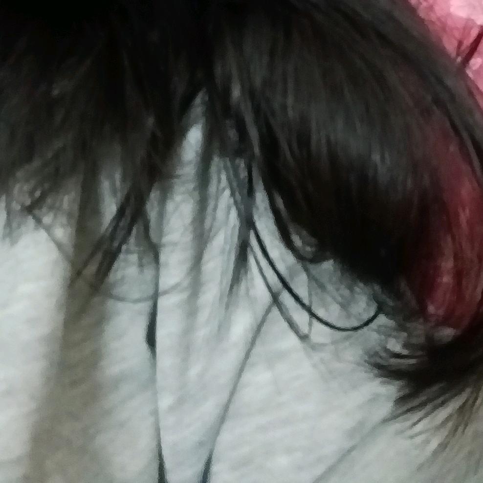 黄丽明