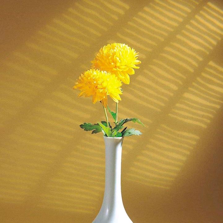 从头再来。778819