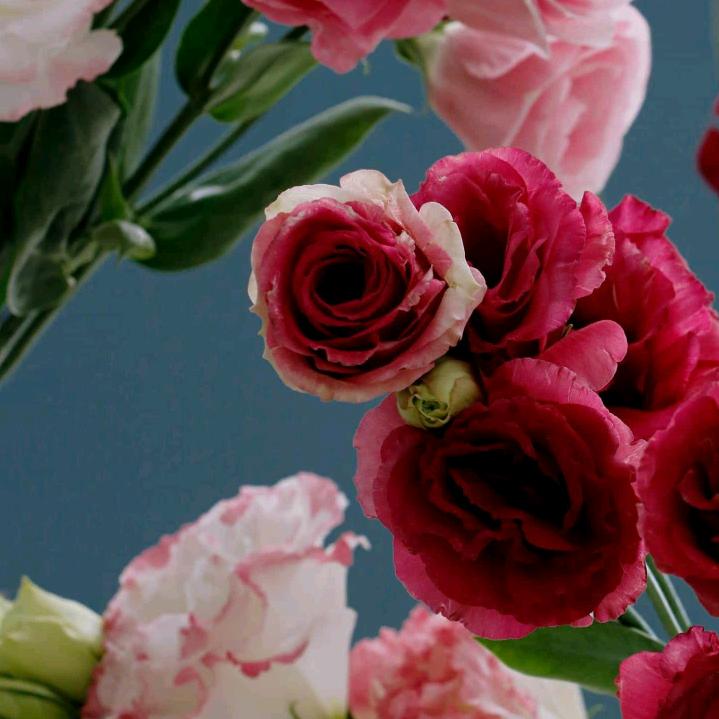 甜甜❤️ 宝贝1274520❤️