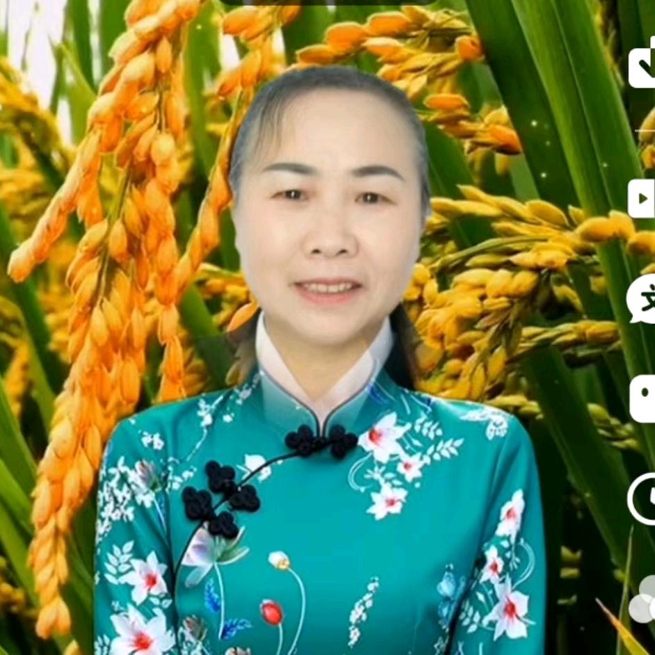 阳连华7613