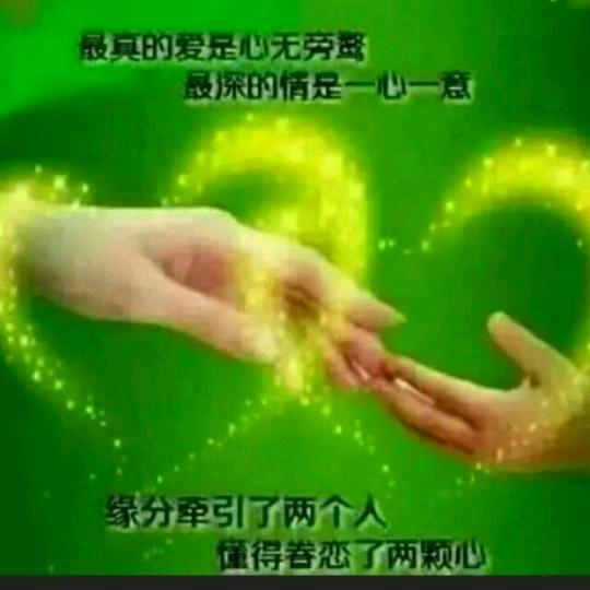 🌹陌顏幽夢🌹🌹