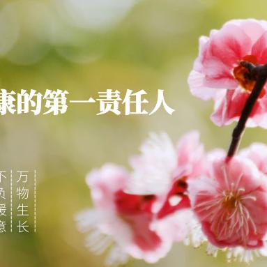 梦幻人生