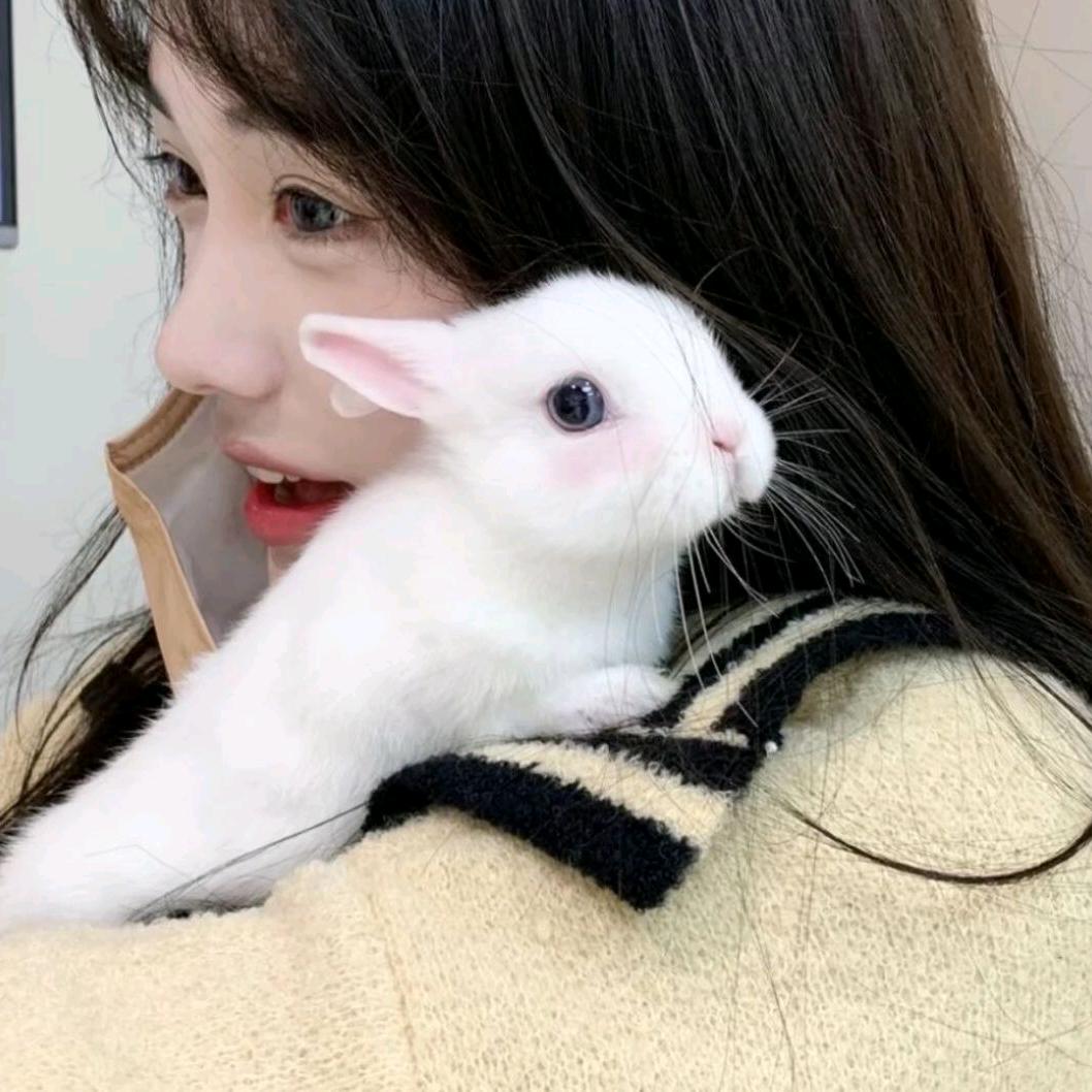 蘸点儿冰淇淋