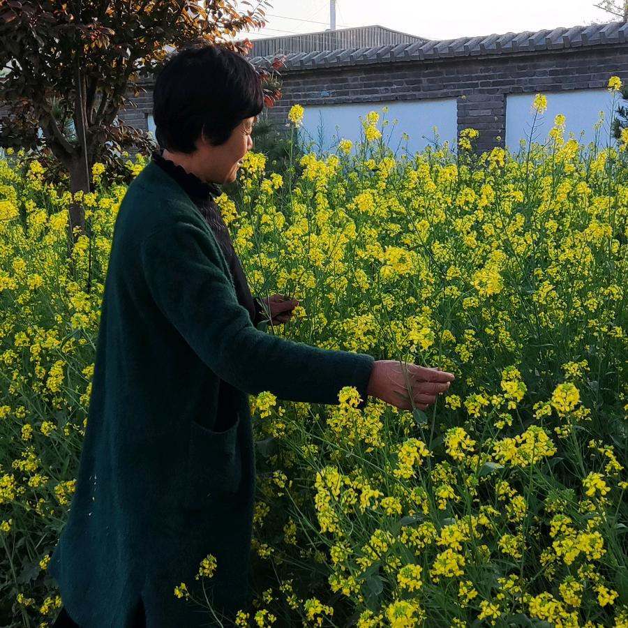 感恩