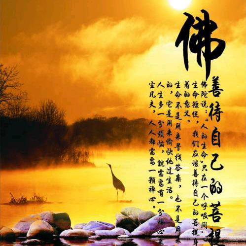 善心