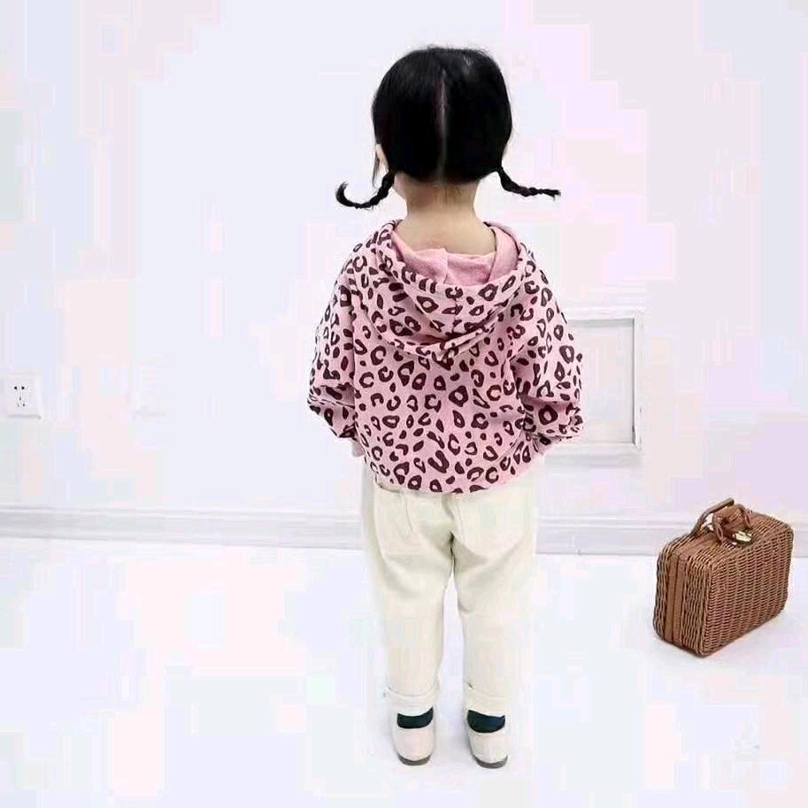 专业测漏水，守亮水电暖，防水