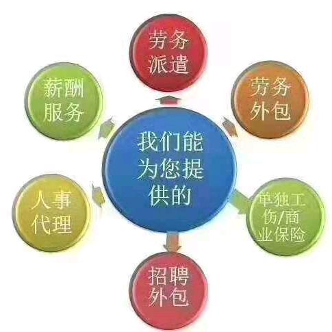 人力资源，安置就业