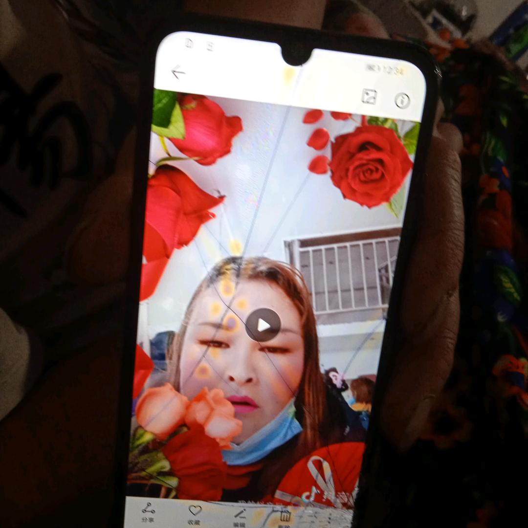 苹苹