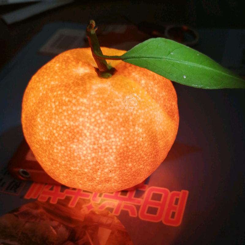 青青（拒聊）