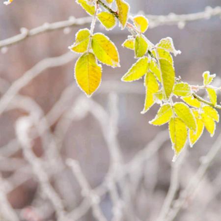 飞行台甲机器人队长
