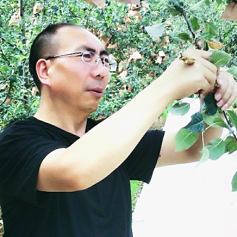 阿龙哥
