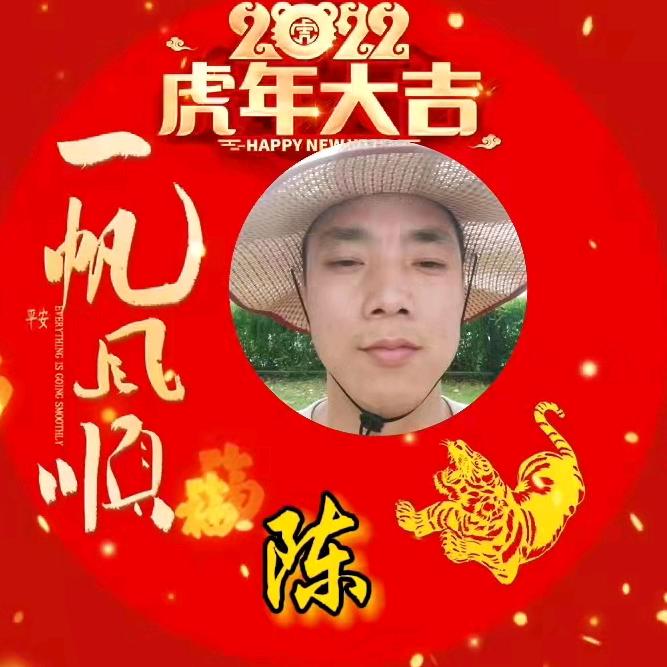陈风破浪