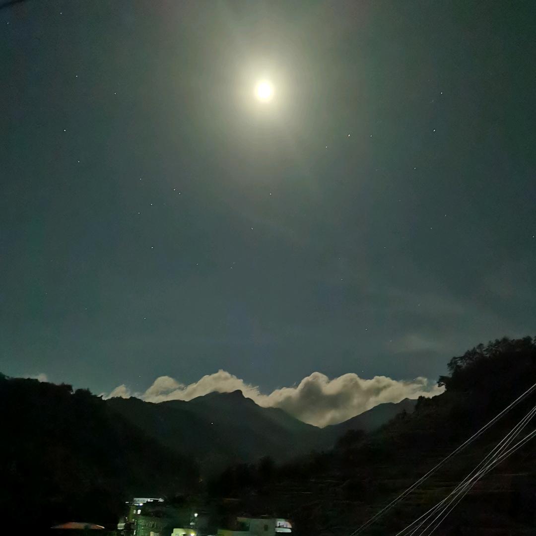 (｢･ω･)｢嘿.