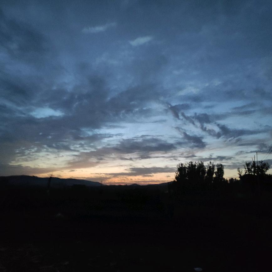 Morning