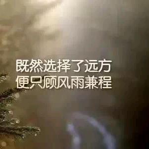 曾经的七八一
