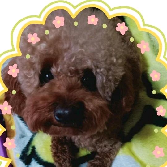 陈平