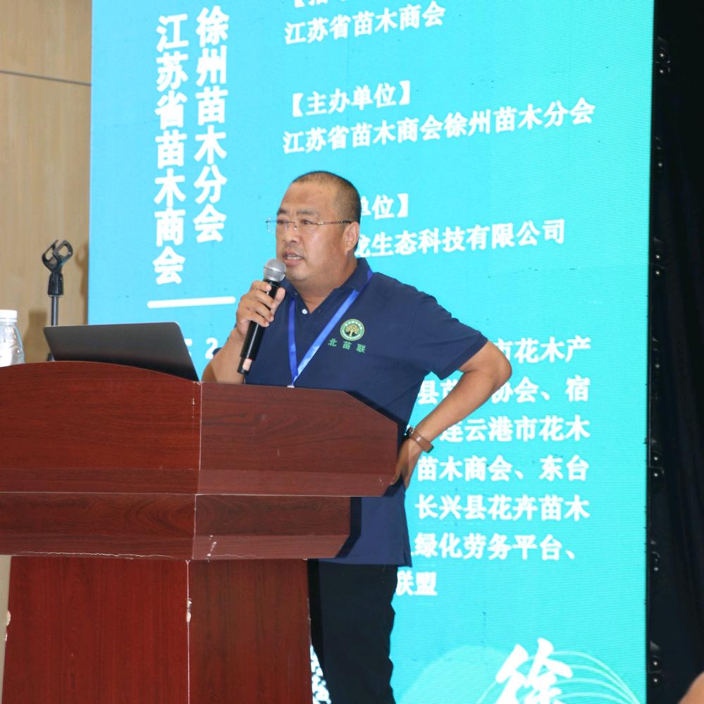 丛生银白槭杨峰