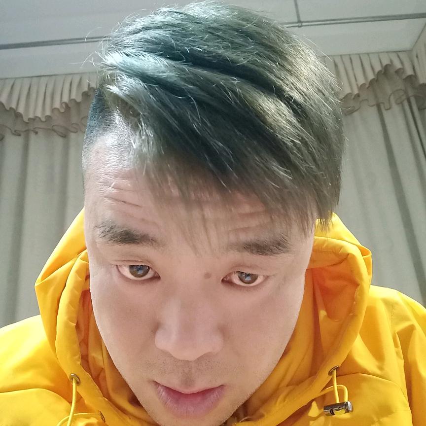 风赴落叶