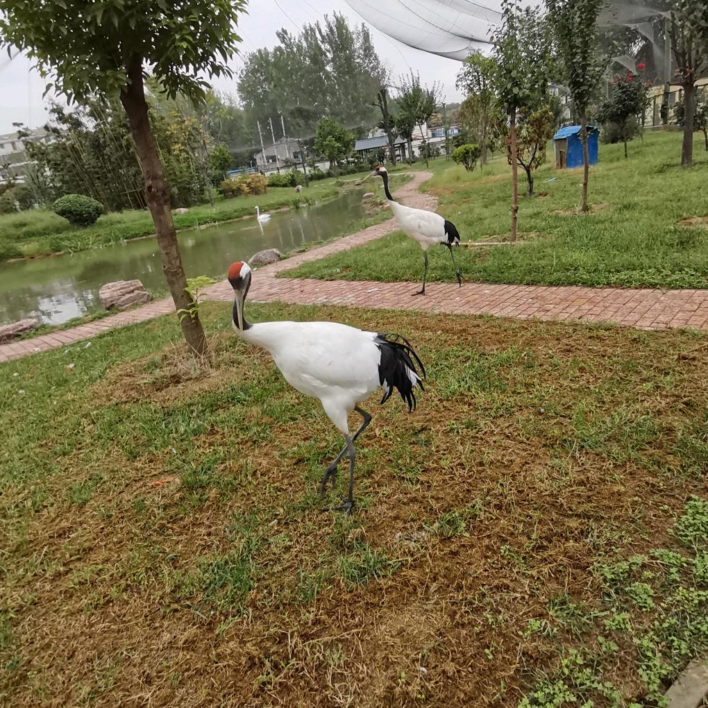 顺风顺水